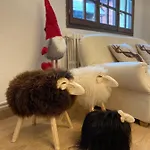 Tirol فورميغال